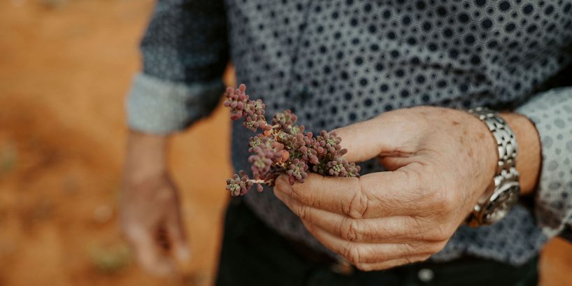 Max holding a native plant